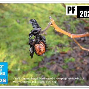 Vše nejlepší v novém roce 2026!