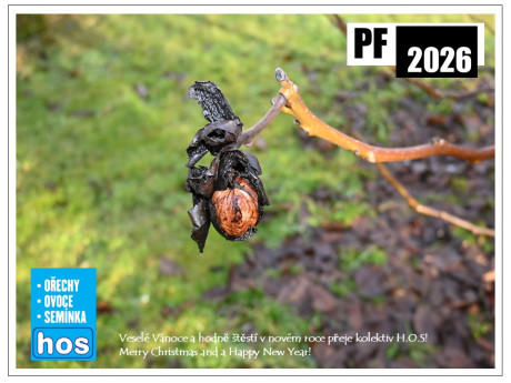 Vše nejlepší v novém roce 2026!